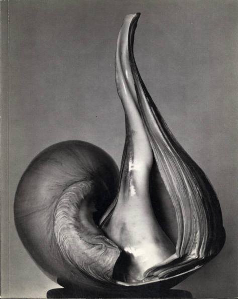 by Edward Weston 1886-1958